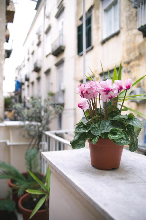 La Casa Del Nespolo, 2 Terrazzi E 2 Bagni In Centro Apartment เนเปิลส์ ภายนอก รูปภาพ